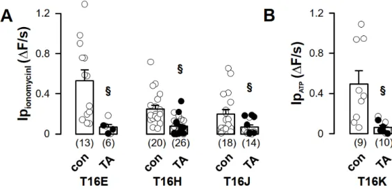 Figure 4. Increased iodide permeability induced by TMEM16 proteins was sensitive to tannic acid