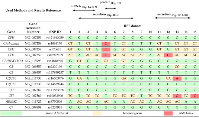 Table 1. Human primary retinal pigment epithelium (hpRPE) cell genotyping and experimental assignment in this study.