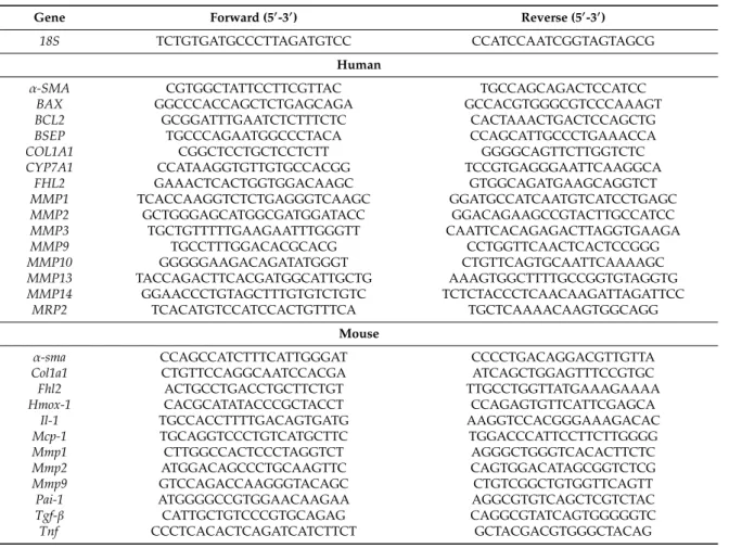 Table 1. Primer sequences for quantitative real-time PCR.