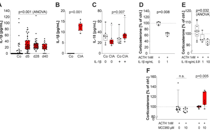 Figure 3.  Levels of IL-1β and IL-18 and influence of these cytokines on corticosterone secretion of adrenal  gland cells