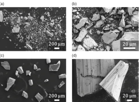 Figure 12. High magniﬁcation SEM image of a grinded MBE-grown bulk GaN particle after etching in aqueous KOH solution (30 wt%) at 80  C for 120 min