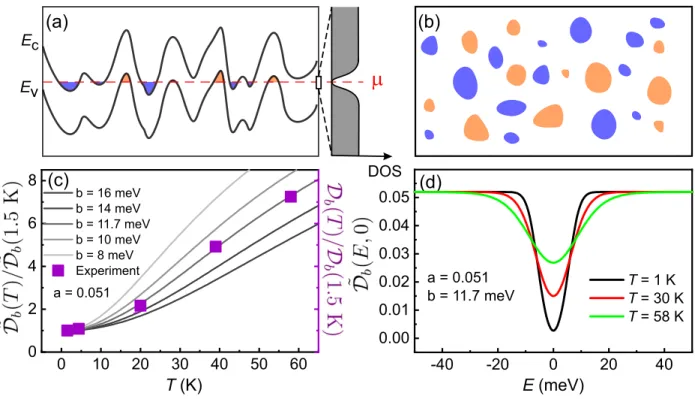 FIG. 4. (a) Conduction (E c ) and valence band (E v ) profiles, fluctuating due to long range Coulomb interactions