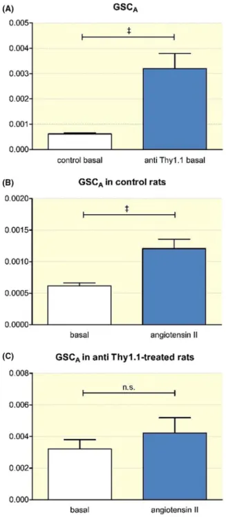 FIGURE 6  Intravital measurement of the GSC A . A, GSC A  of  control rats compared to the GSC A  after mesangial cell depletion