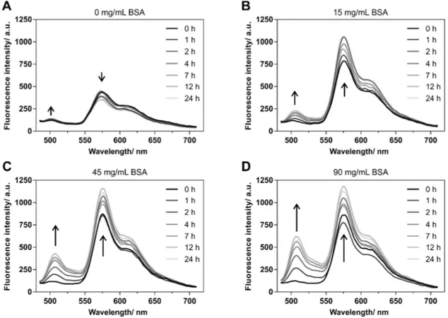 Figure 5 Time-resolved FRET emission fluorescence spectra of DiO/DiI loaded NP510N measured during  incubation (37 °C) with either (A) 0 mg mL -1 , (B) 15 mg mL -1 , (C) 45 mg mL -1  or (D) 90 mg mL -1  BSA after  0, 1, 2, 4, 7, 12 and 24 hours