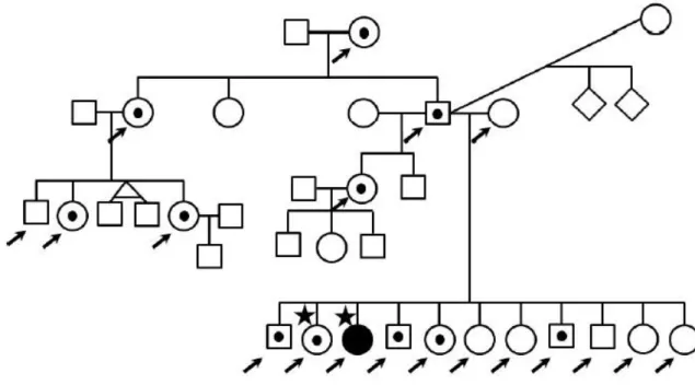 Abb.  4 Stammbaum  der  Familie der  Indexpatientin  (      ).  12  von  19  getesteten  (        )  Familienmitgliedern  tragen die gleiche Mutation im PKP2-Gen (   )