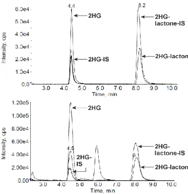 Figure  7.  Representative  chromatograms  (EICs  of   2-HG&amp;-lactone)  of  a  standard  (upper  panel)  and serum sample of an AML patient  with  IDH(1-R132L)  mutation  (lower  panel)