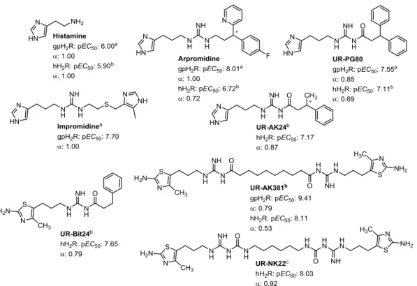 Figure 1.4. Structures of selected H 2 R agonists. Agonism measured on  a guinea pig right atrium 32 ,  b steady-state GTPase  assay 31,33,34  or  c GTP γ S binding assay 36 
