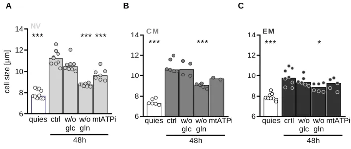 Figure  16:  Impact  of  nutrient  restriction  on  increase  in  cell  size  in  CD8  T  cell  subsets