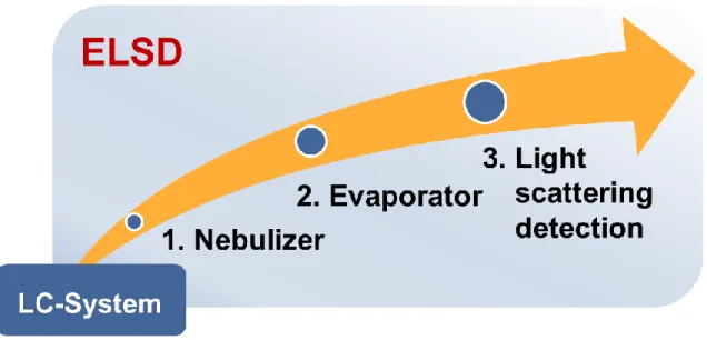 Figure 2.10: Detection principle of an ELSD, based on three crucial steps – nebulization, evaporation, light scattering detection