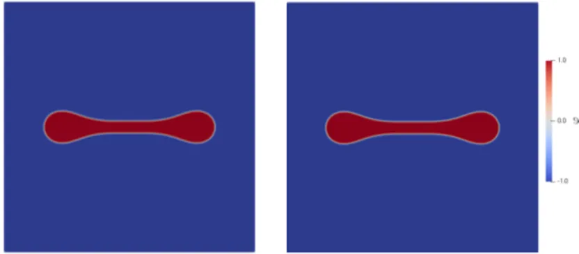 Figure 3.8: Tumour at time t = 12 for β = 0.1, left side for the CHD model, right side for the CHB model with η = 10 −5 .