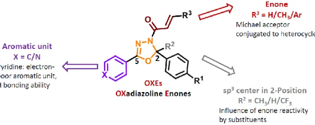 Figure 9: Design and structural features of the compound library of oxadiazoline enones (OXEs)