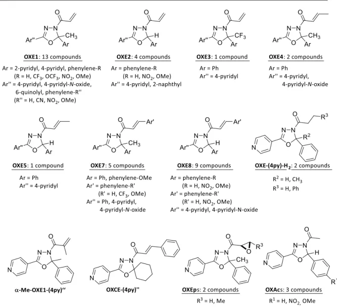 Figure 20: Overview of all OXE, OXCE, OXEp and OXAc compounds synthesized in the work group of PD Dr