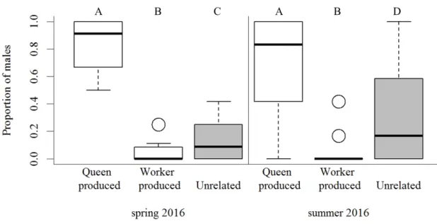 Figure 2.2: Proportion of males which were produced by the queen, by workers related to the queen or by unrelated workers in queenright Temnothorax crassispinus colonies collected in spring (left) and summer 2016 (right)