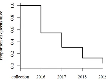 Figure 3.1: Lifespan of T. crassispinus queens during a four year observation period starting after collection in early spring 2016