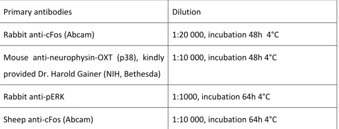 Table 3. List of the primary antibodies used during this thesis.  