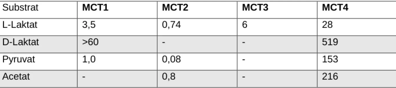 Tabelle 1  Km Werte (mM) für MCT1-4 für die die spezifischen Substrate: 