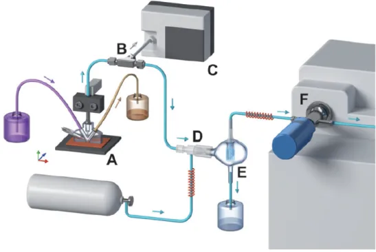 Figure 3.10 Setup for real time EC-MS consisting of a scanning flow cell (A), a degasser with hydrophobic tubing for gas- gas-liquid separation (B), an electron-ionization quadrupole MS for gas analysis (C), a nebulizer (D), a spray chamber (E), and a  dir