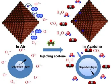 Figure 1.6. Schematic diagram of acetone sensing mechanism in ZnO/ZnFe 2 O 4  hollow nanocages