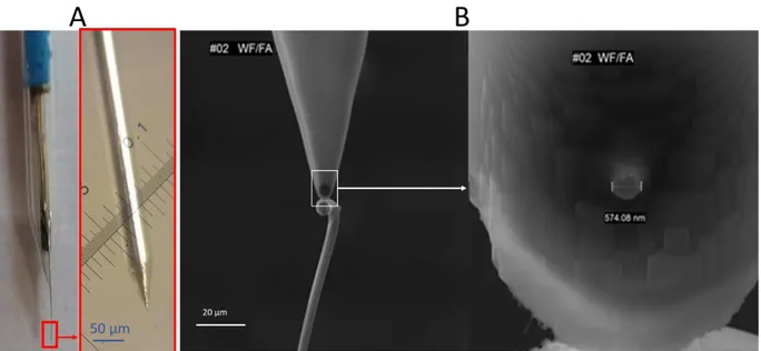 Figure 4.1.2: Images of an etched Pt UME produced with weight force-sealing. (A) Photograph  and optical microscopic image of the electrode