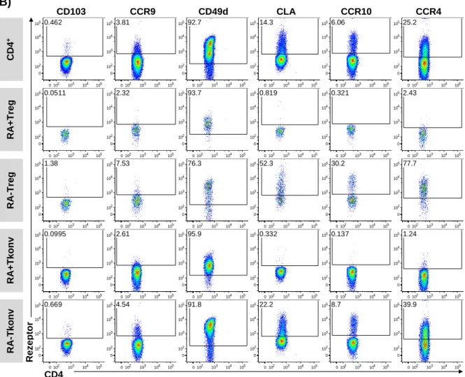 Abb. 1: Gatingstrategie der FACS-basierten Analyse des Homingrezeptorprofils ex vivo isolierter  CD4 + T-Zellen 