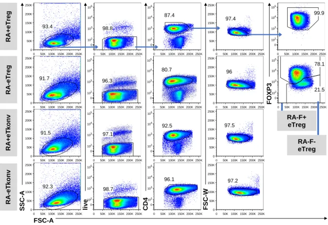 Abb. 4: Gatingstrategie der CD4 +  Gesamtpopulation im Rahmen der FACS-basierten Analyse des  Homingrezeptorprofils nach polyklonaler Expansion 