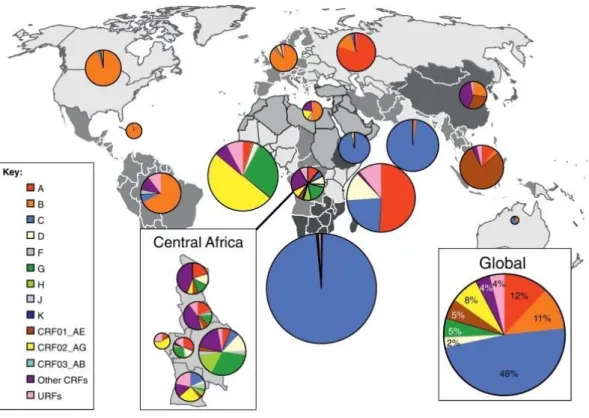 Figure  2  -  Global  distribution  of  HIV-1  subtypes  and  recombinants.  Pie  charts  illustrate  the  percentage distribution of HIV-1 subtypes represented by different colors in each region