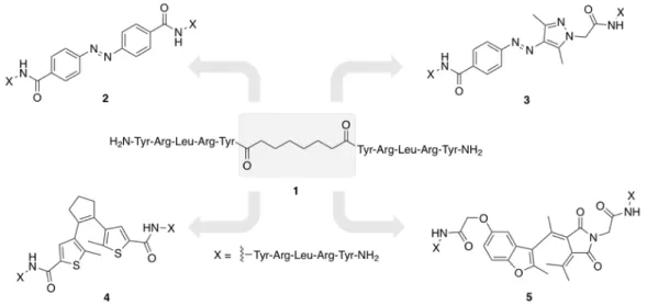 Figure  1.  Schematic  presentation  of  the  rationale  of  the  present  study:  replacement  of  the  central  suberyl  moiety  in  1  leads  to  four  different  photochromic  peptidic  Y 4 R  ligands  (azobenzene  2,  azopyrazole 3, dithienylethene 4 