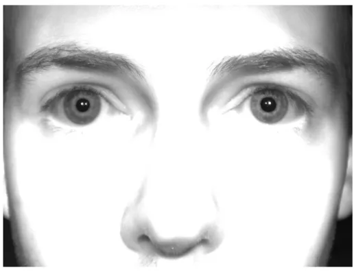 Figure 3.6: Example for a face recorded with the first Basler camera setup at the maximum distance