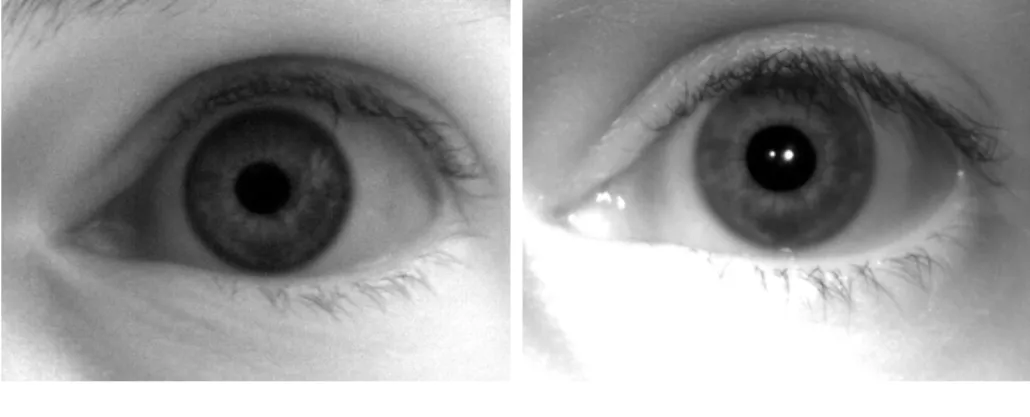 Figure 3.8: Histogram equalized (see 2.1) pictures of the same eye, recorded with the Basler camera, with and without the IR illumination from the OSRAM IR LEDs