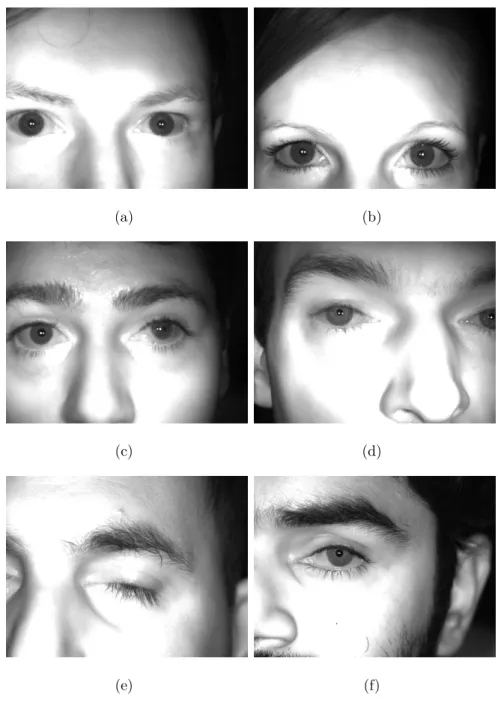 Figure 4.1: Samples from the self-recorded database. The images in this database contain eyes with a big variance in sharpness, distance, gaze (Figure 4.2(b)), illumination, gender, eye opening, eye color, as well as eyes that had some kind of eye surgery 