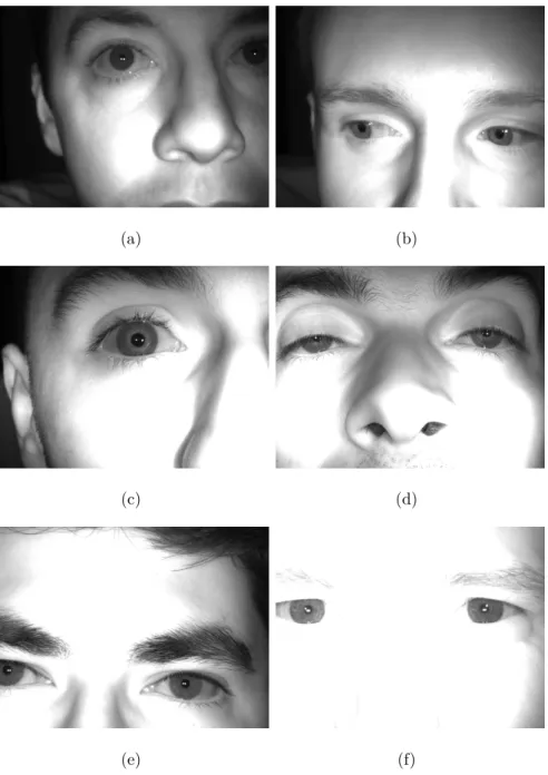 Figure 4.2: Samples from the self-recorded database. The images in this database contain eyes with a big variance in sharpness, distance, gaze (Figure 4.2(b)), illumination, gender, eye opening, eye color, as well as eyes that had some kind of eye surgery 