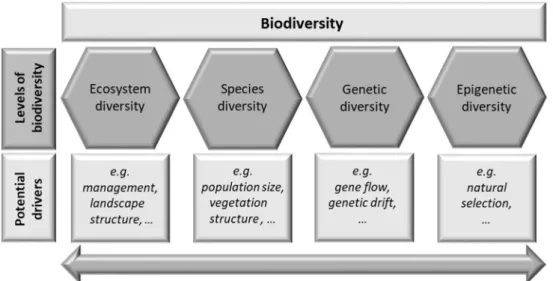 Figure 1.1:  Levels of biodiversity and their potential drivers. 