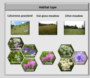 Figure 1.3:  Habitat types and study species investigated in  this thesis. 