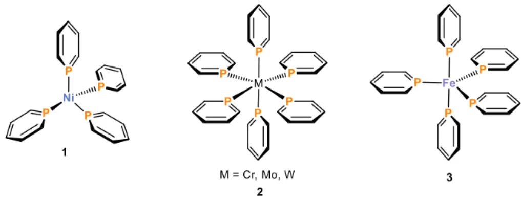 Figure 5. Examples for σ-coordinated transition metal phosphinine complexes in η 1 -mode