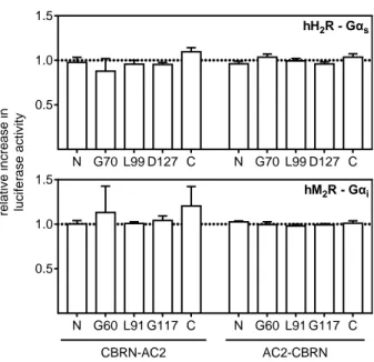 Fig. 4.4: Changes in luciferase activity for the different com- com-binations of Gα s , Gα i  and AC2 luciferase fragment fusion  pro-teins  stimulated  via  the  hH 2 R  (Gα s )  and  the  hM 2 R  (Gα i )