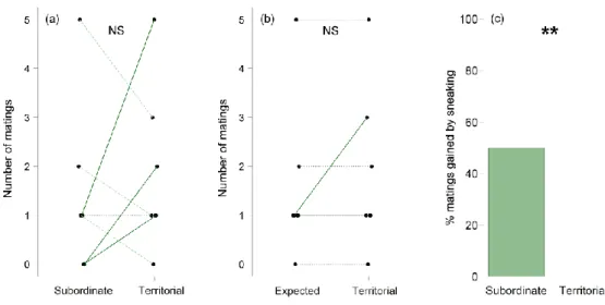 Figure 3 (a) The number of first matings gained by subordinate and territorial males in groups of Nv observed  in  microcosm  experiments