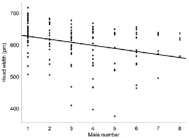 Figure 4 Correlation between the order of emergence and the head width of Nv  males that emerged naturally  from their hosts (Spearman rank correlation: r S  = -0.35, N = 138, P &lt; 0.0001)