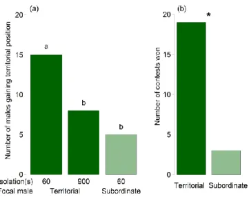 Figure 5 (a) Results of the isolation experiment showing the number of males that were able to take back (focal  male territorial) or take over (focal male subordinate) the territorial position on the host after returning to the  male group from which they