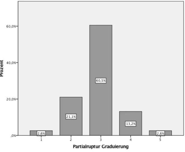 Abbildung 15: Prozentuale Verteilung der Partialruptur Graduierung im Patientenkollektiv