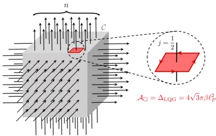 Figure 3.1: Schematic representation of the spin network states describing the macroscopic spatially homogeneous geometry of the cubical cell C with edges adapted to the axes