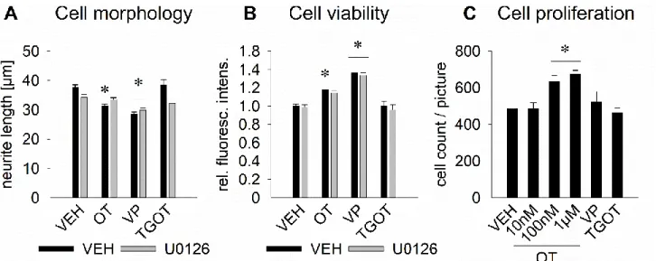 Figure 5. Effects of OTR activation on cell morphology, viability, and proliferation in rat hypothalamic H32 cells