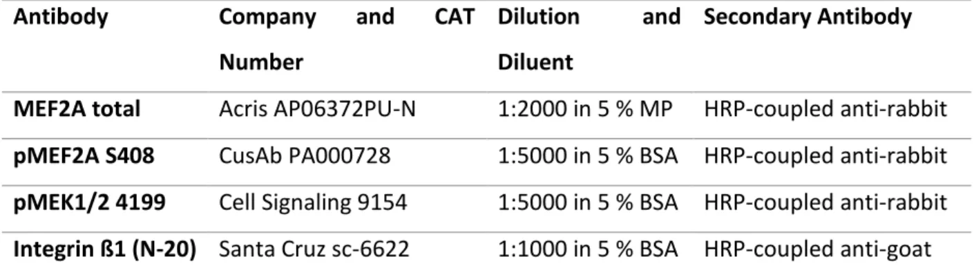 Table 2. Summary of antibodies used in this study with corresponding dilution and host