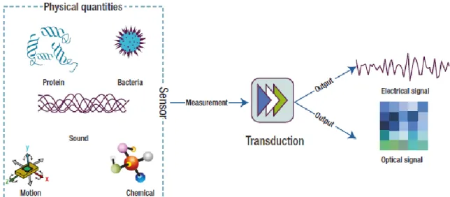 Fig. 2. The sensing process. Reprinted from [26]. 