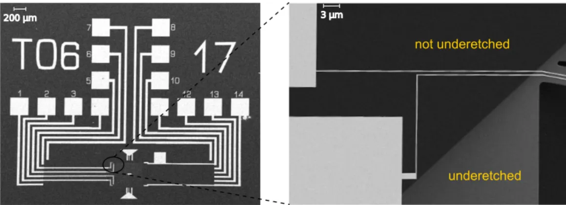 Figure 3.7: SEM image of the contact layout of the MEMS sample (a) showing the portion of the metal lines which is not underetched (b).