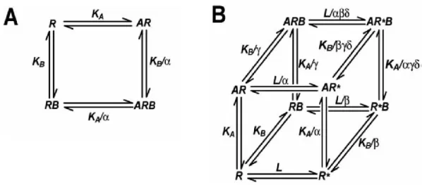 Figure 1. Allosteric GPCR models. A) The simple allosteric ternary complex model (ATCM),  which describes the interaction between an orthosteric ligand, A, and allosteric modulator,  B, in terms of their equilibrium dissociation constants (K A , K B ) and 