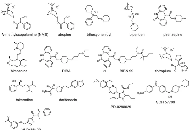 Figure 4. Structures of selected MR antagonists reported in the literature. 