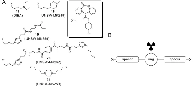 Figure 2. (A) Structures of recently reported DIBA-derived MR antagonists, including the  homodimeric  compounds  20  and  21