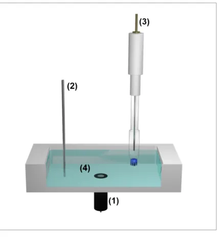 Figure 2.1: Schematic representation of the experimental setup for electrochemical experiments