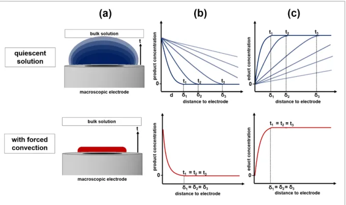 Figure  2.5:  Schematic  representation  of  the  time-dependency  t  of  the  diffusion  layer  δ  of  the  product  species  generated  during  an  electrochemical  reaction  at  a  macroelectrode  (a)  and  the  corresponding  change of the product conc