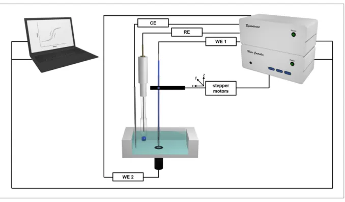Figure 2.7: Schematic representation of the experimental setup for scanning electrochemical microscopy
